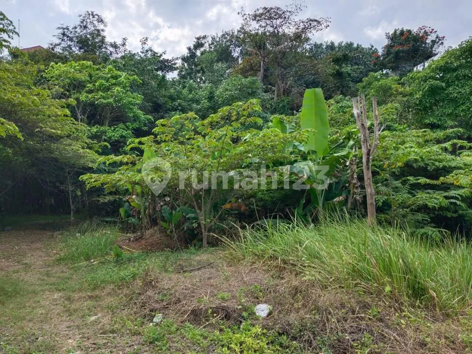 Dijual / Disewakan Tanah Premium dan Ekslusif di Keramas, Gianyar - Image 3 of 4