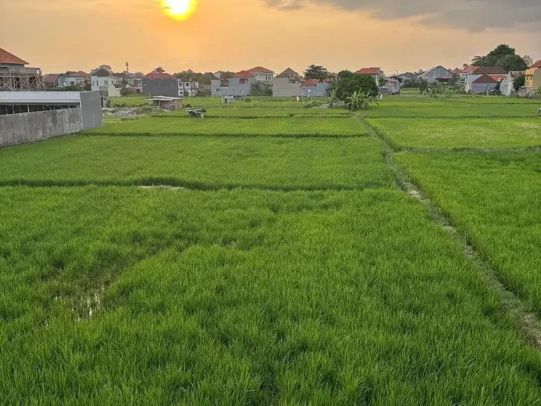 Villa View Sawah Sanur Denpasar Selatan - Image 4 of 10