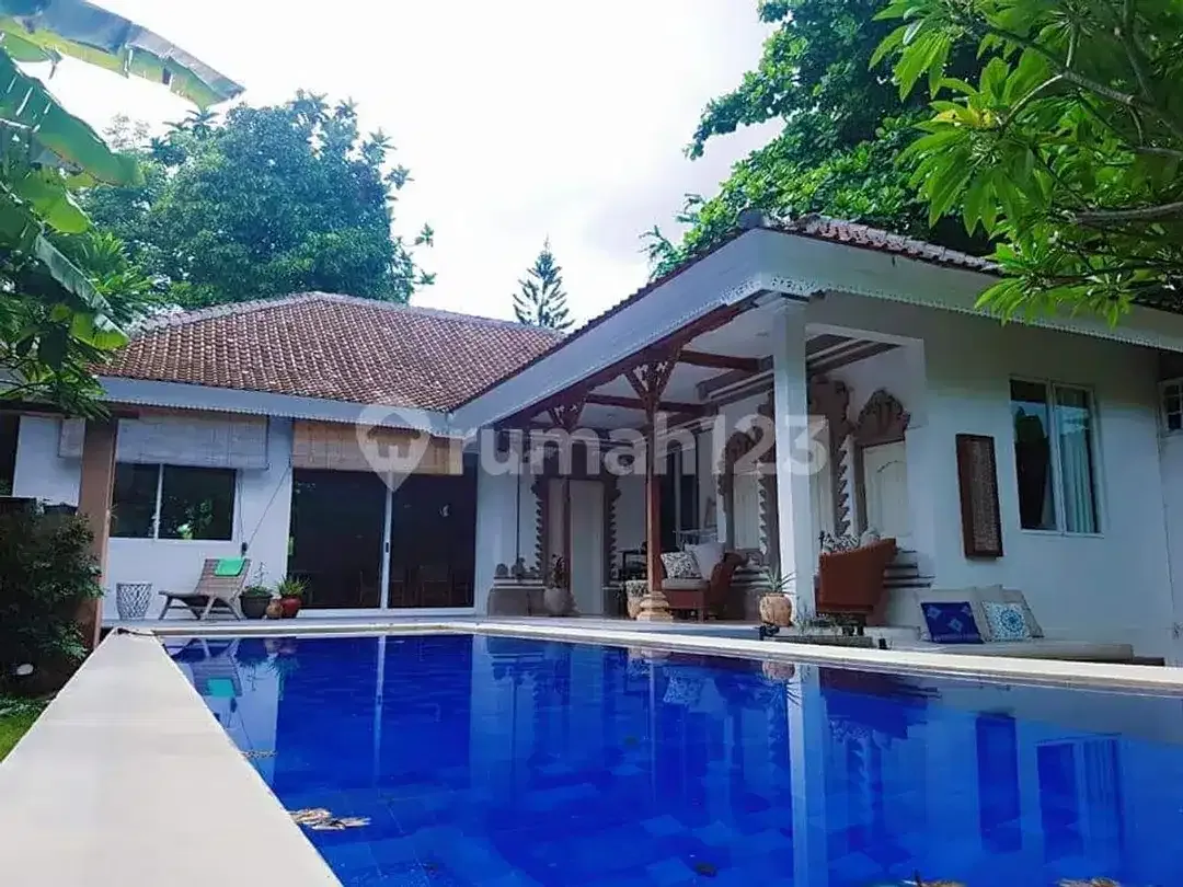 Elegant Tropical Villa.4 Bedroom In 11 Are Of Land With Large Garden & Ample Parking In Sanur Denpasar Bali - Image 2 of 5