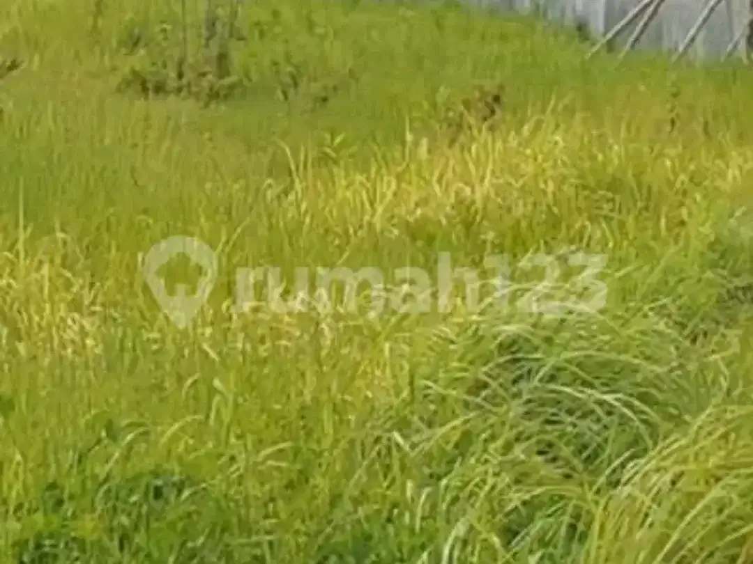 Exclusive Land 400 Meter & 1200 Meter For Lease Near Pantai Lima Beach - Prime Canggu Location - Pererenan Canggu Bali - Image 4 of 5