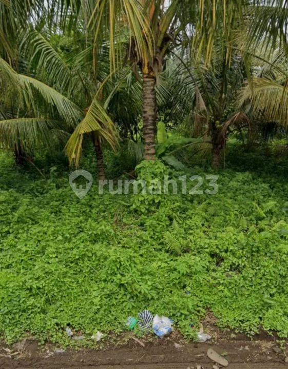 Tanah Dijual Lokasi Lodtunduh Ubud - Image 4 of 4