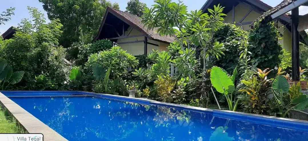 VILLA FULLY OPERATED FREEHOLD IN LOVINA BULELENG - Image 5 of 10