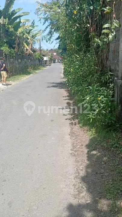 Tanah di Jual di Ubud Lokasi Dalam Komplek Cocok untuk Kokosan Lokasi Tananh Pinggir Jalan - Image 3 of 4
