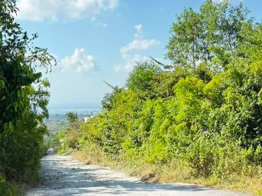 DIJUAL TANAH OCEAN VIEW – KAWASAN LUXURY VILLA BUKIT BINTANG, UNGASAN BALI - Image 4 of 10