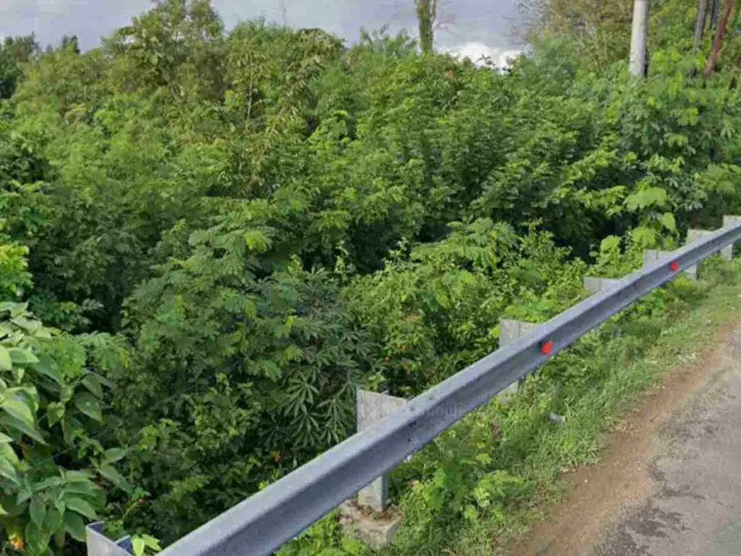 dijual tanah 36 are IDR 800 juta per are jln utama alas Arum bypass Pandawa Kutuh Kuta Selatan Badung Bali - Image 9 of 9