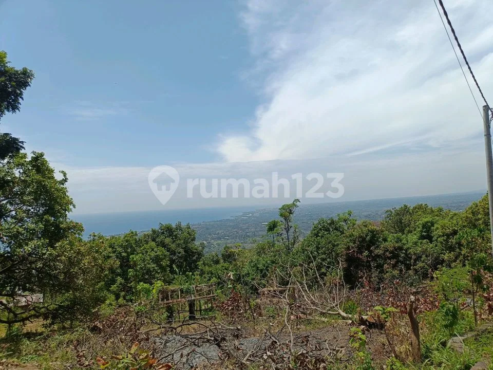 Buc For Sale Ocean View On Aspal Road Good For Villa - Image 3 of 4