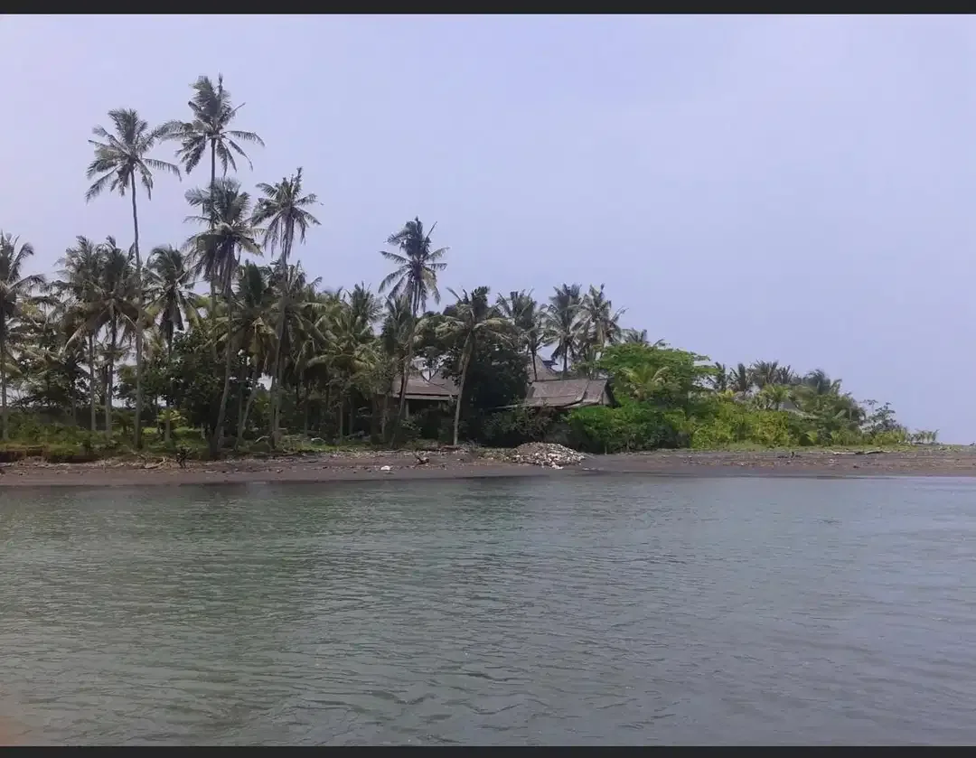 DIJUAL TANAH LOS PANTAI BERABAN DAN SUNGAI DI TABANAN - Image 5 of 10