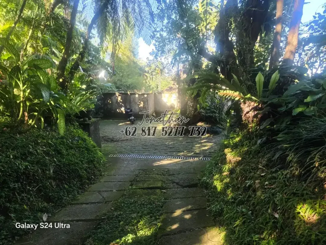 VILLA MEWAH VIEW GUNUNG DAN HUTAN LAHAN LUAS DI PERBATASAN PAYANGAN UBUD - VSRE - Image 2 of 10