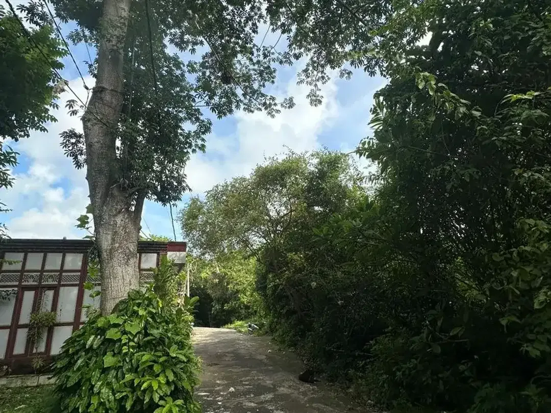 Prime Land for Sale in Pecatu – Ideal for Private Villa or Investment. - Image 2 of 6
