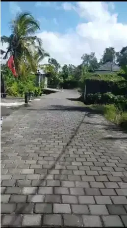 Tanah 8 Are di Kedungu - Image 2 of 5