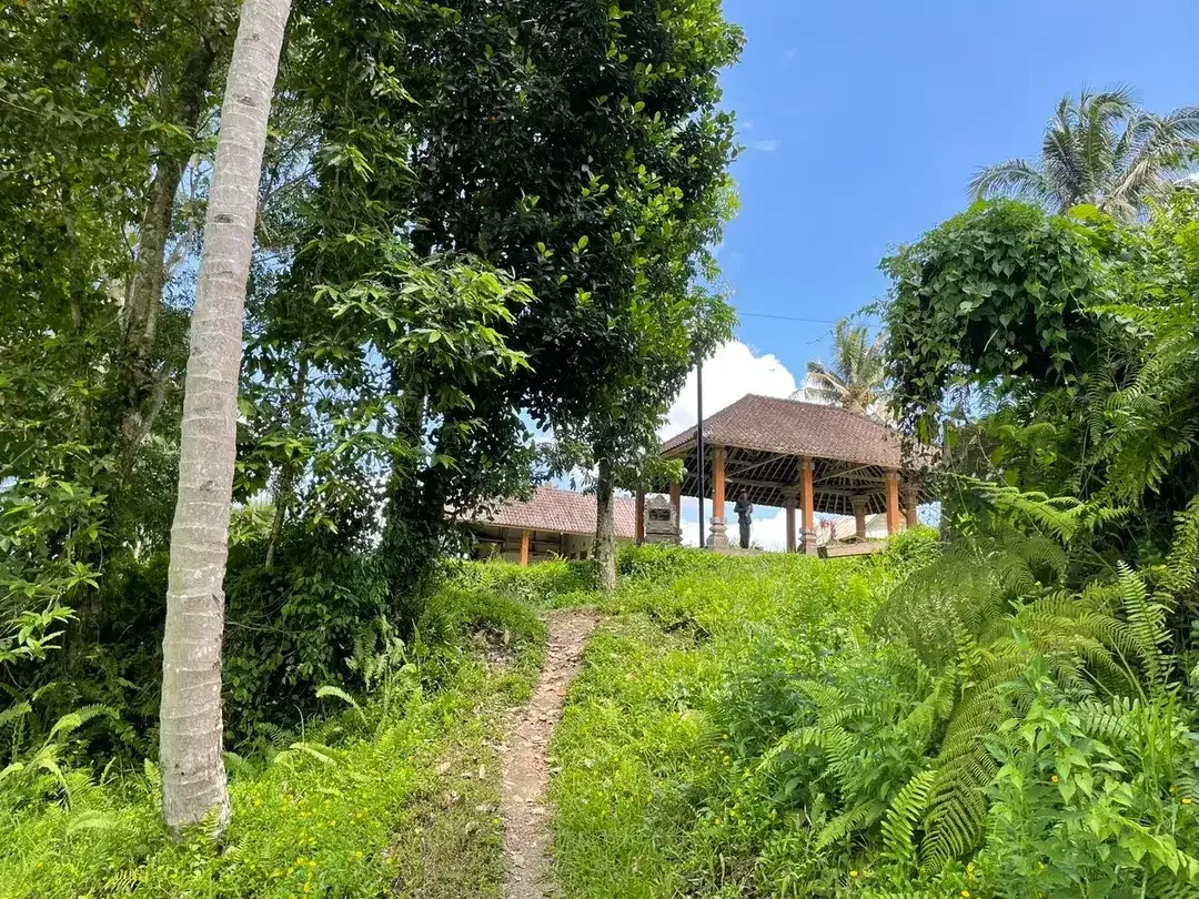 Leasehold land 8857 Sqm In Great Location Ubud - Image 5 of 10