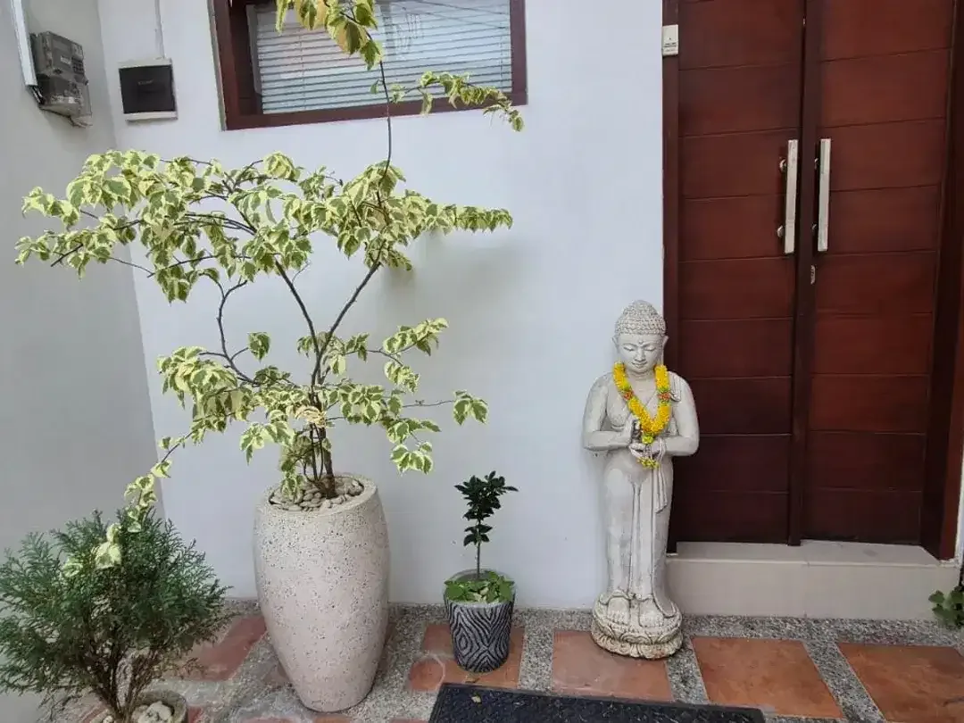 Freehold - Charming Villa for Sale in Kerobokan - Just 300m from Raya Canggu, Bali! - Image 4 of 10
