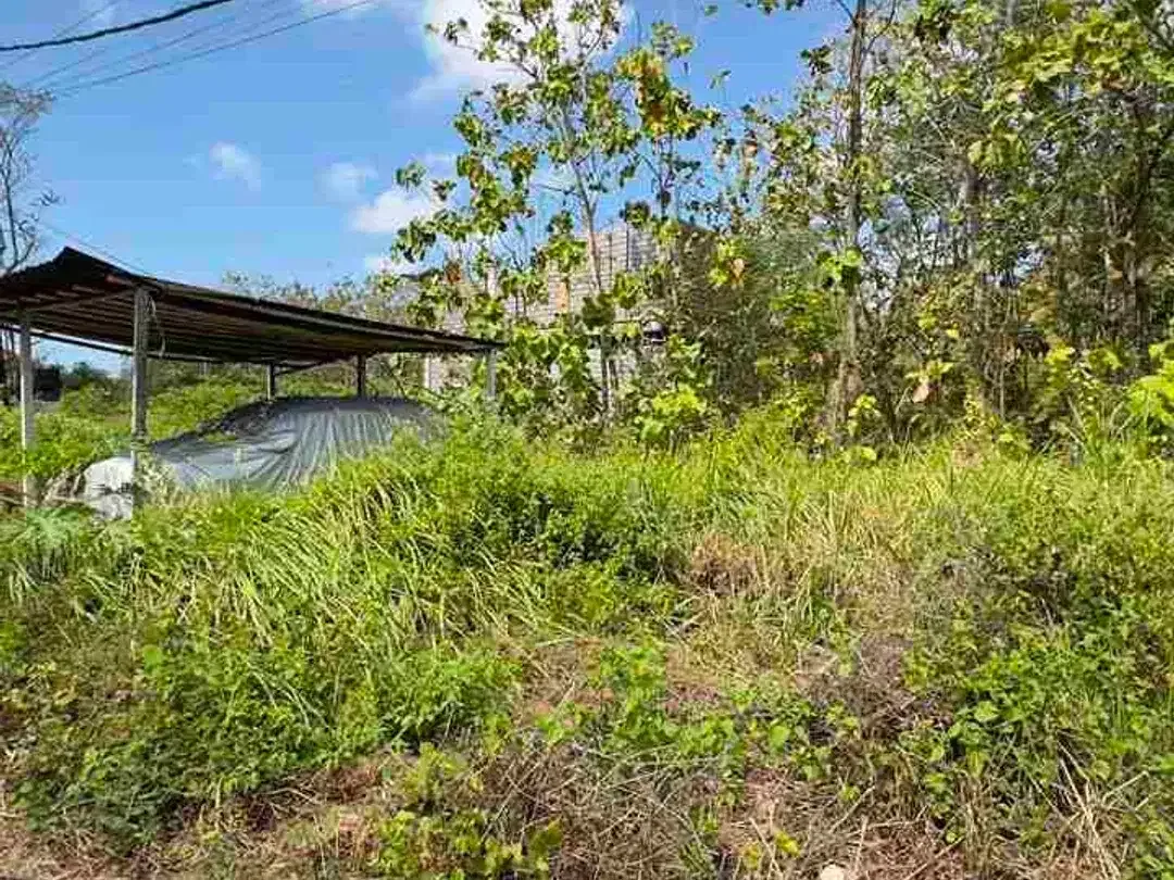 Dijual Murah Tanah 125m2 Di Jimbaran Bali - Image 4 of 6