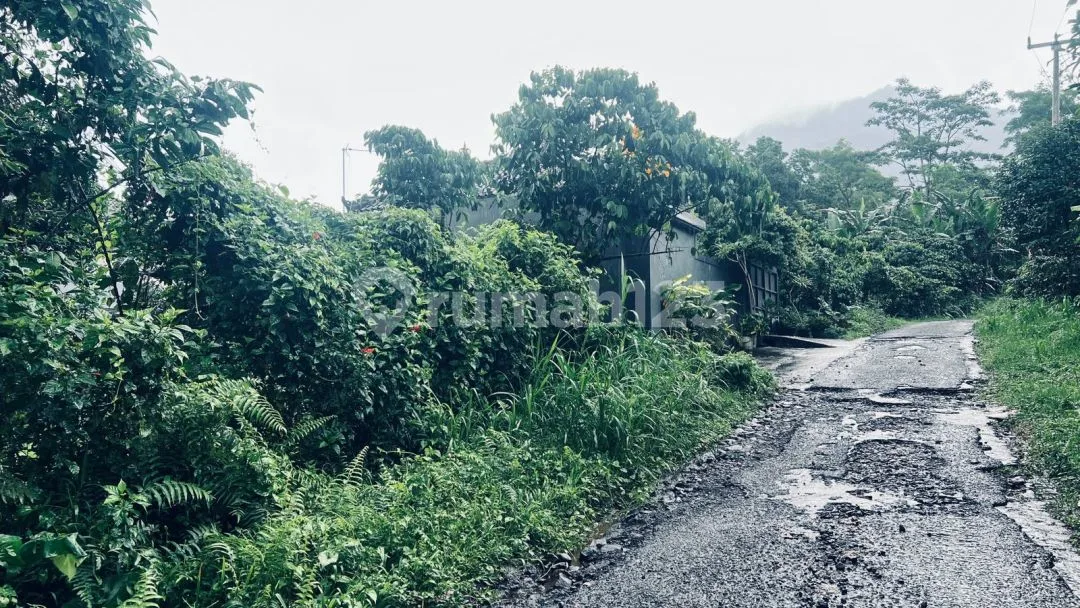Jual Tanah Luasan Kecil Dekat Dengan Aurora Cabins Di Tabanan Bali. - Image 3 of 4
