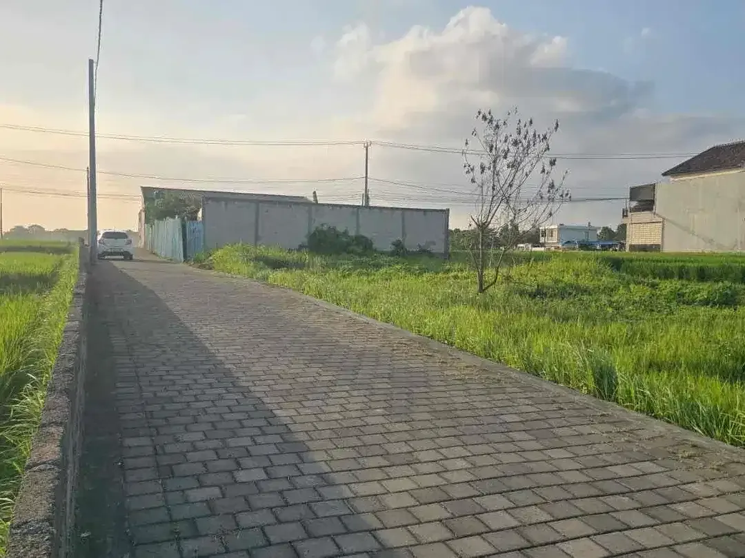 Tanah Kedungu view sawah dkt Jalan utama bisa 2-3 unit villa - Image 3 of 6