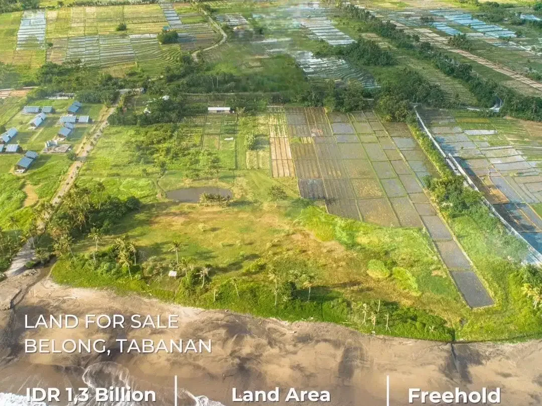 Prime Beachfront Land di Belong beach - Image 1 of 10