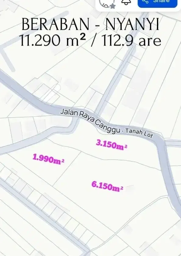 LAND FOR LEASE MAIN ROAD CANGGU NYANYI - Image 8 of 10