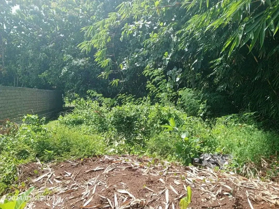 Dijual tanah 2,2 are di jimbaran - Image 1 of 5