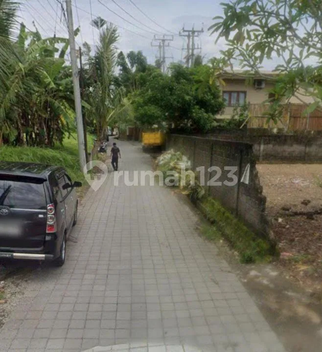 Tanah Dijual Lokasi Lodtunduh Ubud - Image 2 of 4