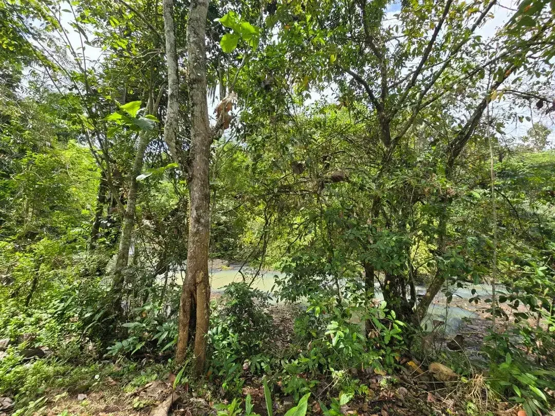 Dijual tanah view sungai dekat villa galalima glamping bali - Image 9 of 10