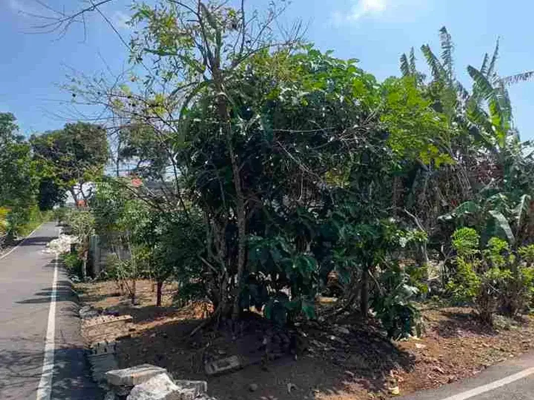 Dijual Tanah Murah Hook 280m2 Di Ungasan Bali - Image 4 of 7