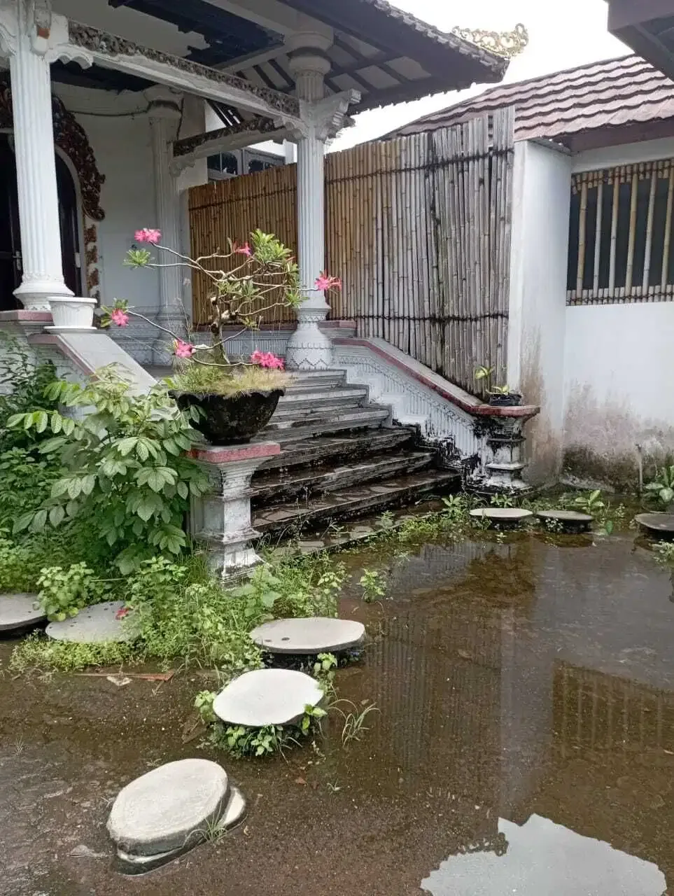 Disewakan Gudang dan Kantor di Jln Bay Pas Ngurah Rai Sanur Bali - Image 3 of 9