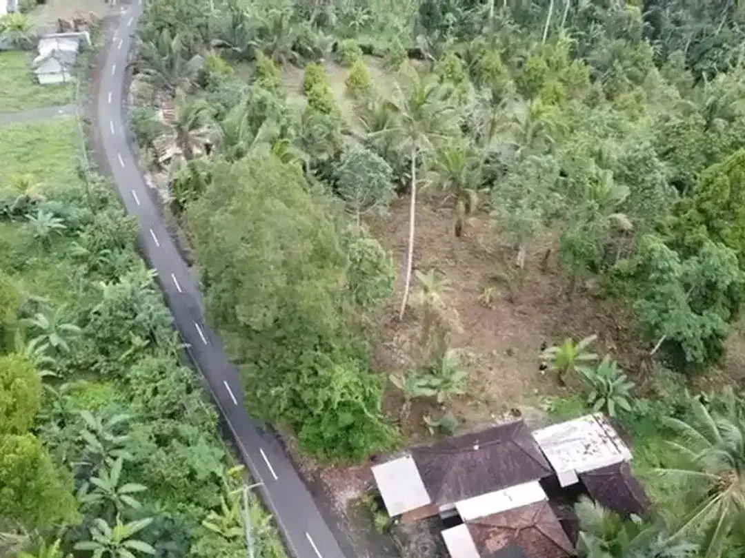 Tanah kebun di Gn Salak Selemadeg Timur Tabanan Dkt Eco Bali Stay Manca Restasurant - Image 7 of 7