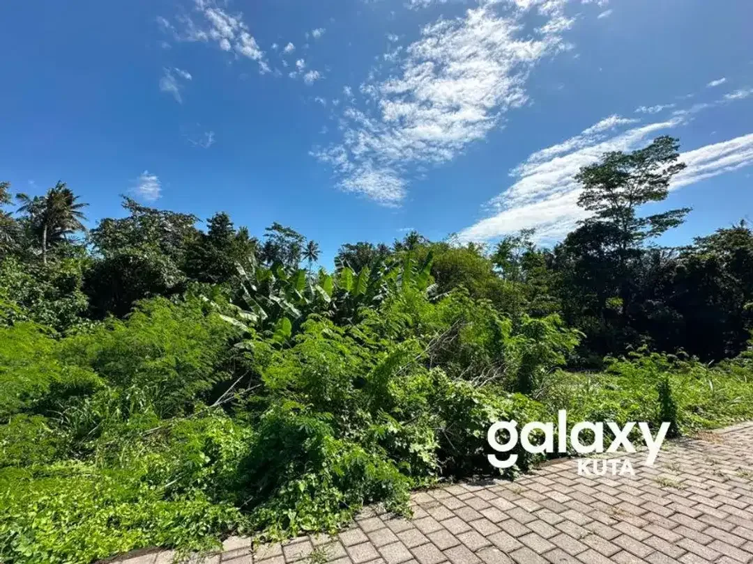 DIJUAL TANAH HOOK JUNGLE VIEW DEKAT KANTO LAMPO DI BENG GIANYAR - Image 7 of 10