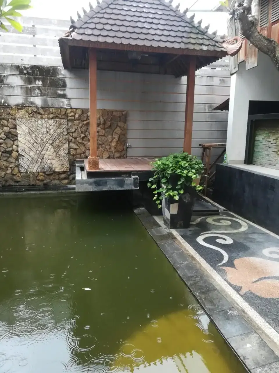 Rumah Murah Isi Pool Di Moh Yamin Dkt Renon Laksamana Merdeka Puputan - Image 6 of 10