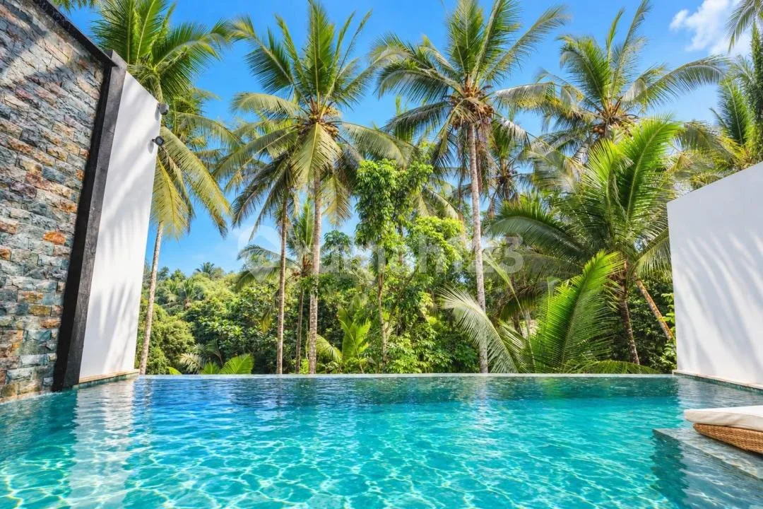 Villa Rice View Fully Furnished SHM 2 Bedroom In Ubud - Image 1 of 4