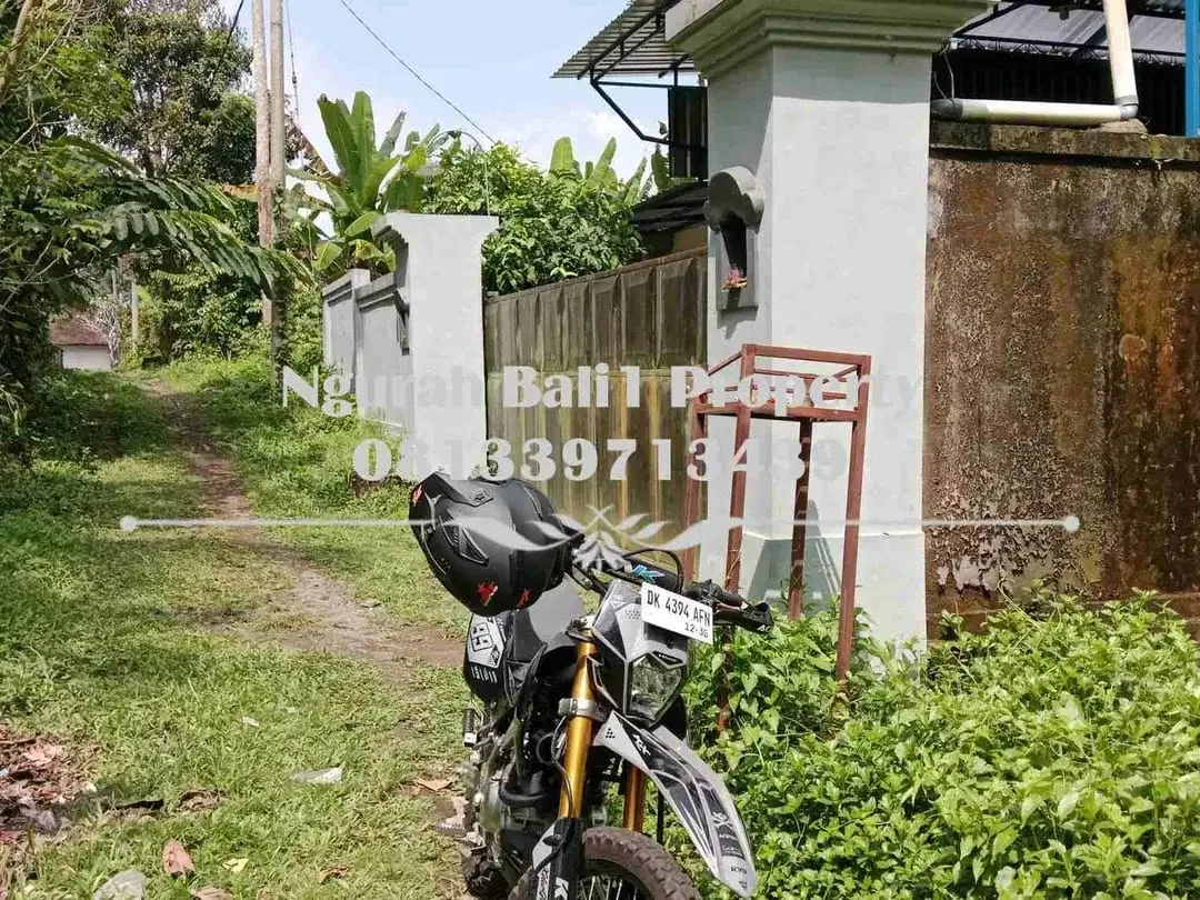 Disewakanl Tanah Murah Luas 55  Are Pemandangan Hutan di Ubud Pejeng - Image 7 of 7