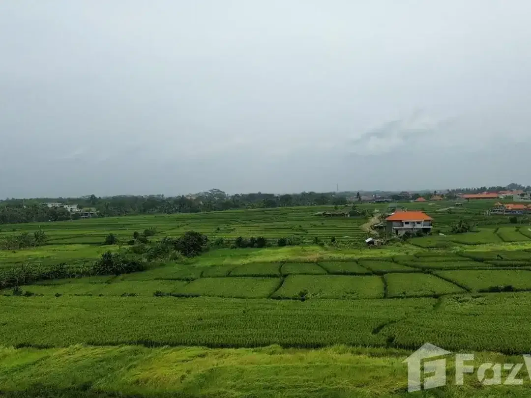 Land for sale in Cemagi, Bali - Image 6 of 7