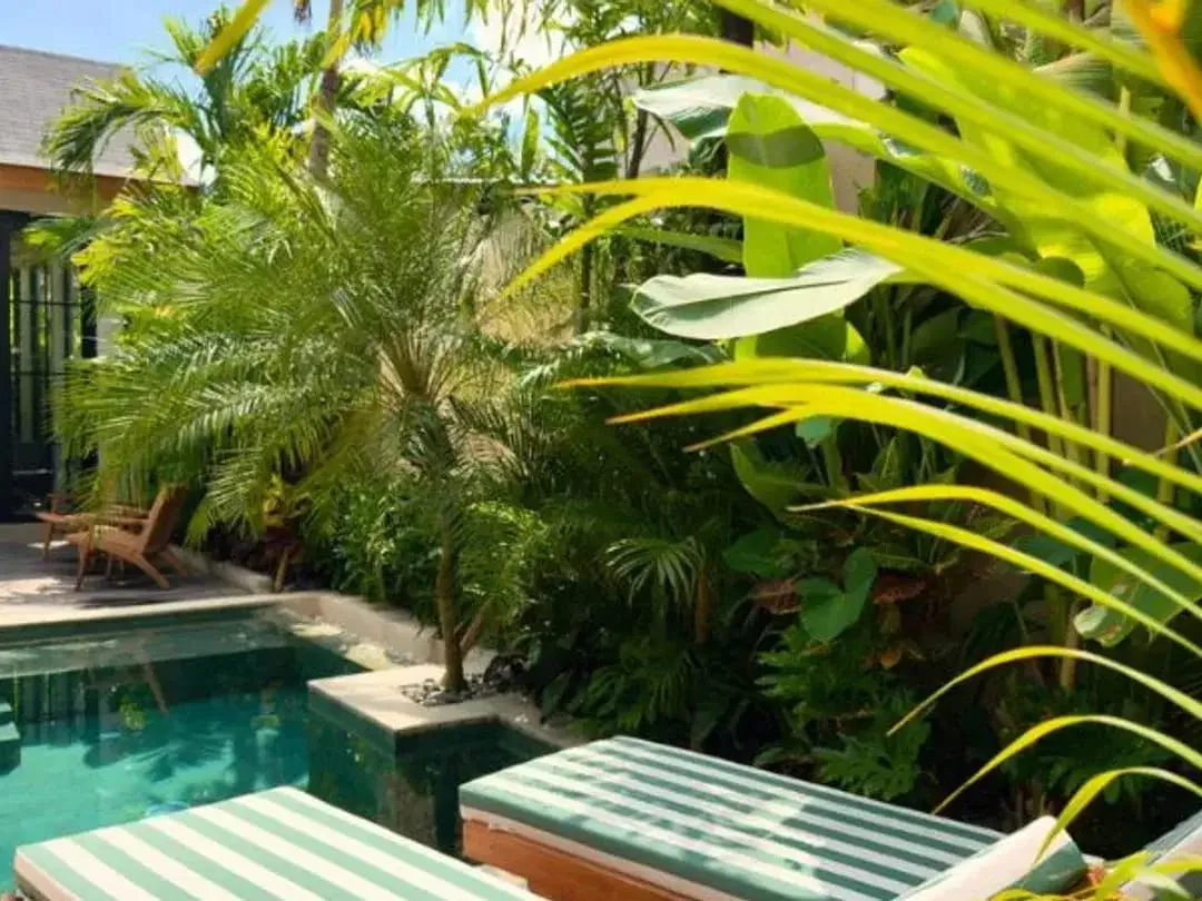 LEASEHOLD VILLA MEWAH MINIMALIS DI LEGIAN KUTA BADUNG - Image 3 of 10