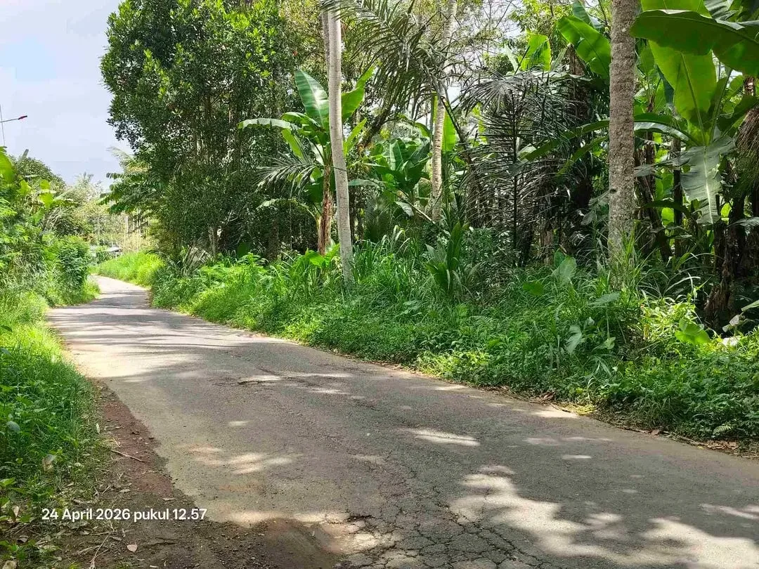 Tanah Zona Kuning 30 Menit dari Central Ubud Bali - Image 6 of 7