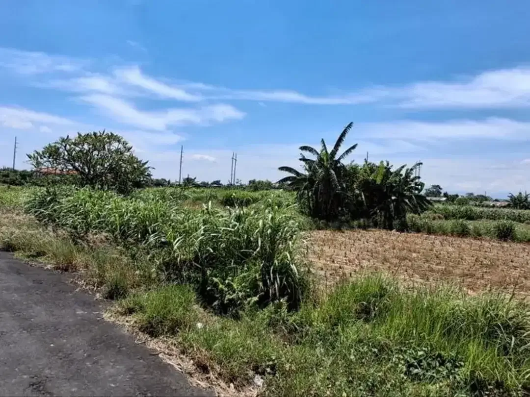 Tanah Pertanian 19,7 Are View Sawah Dijual, di Area Padang Galak Sanur - Image 1 of 4