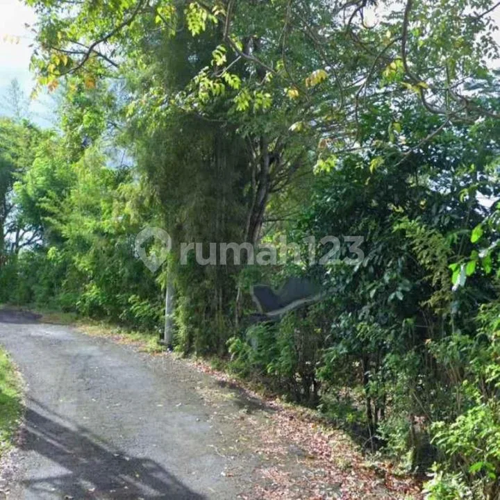 Dijual Tanah Los Tebing/ Cliff Front di Pantai Pandawa, Uluwatu - Image 4 of 4