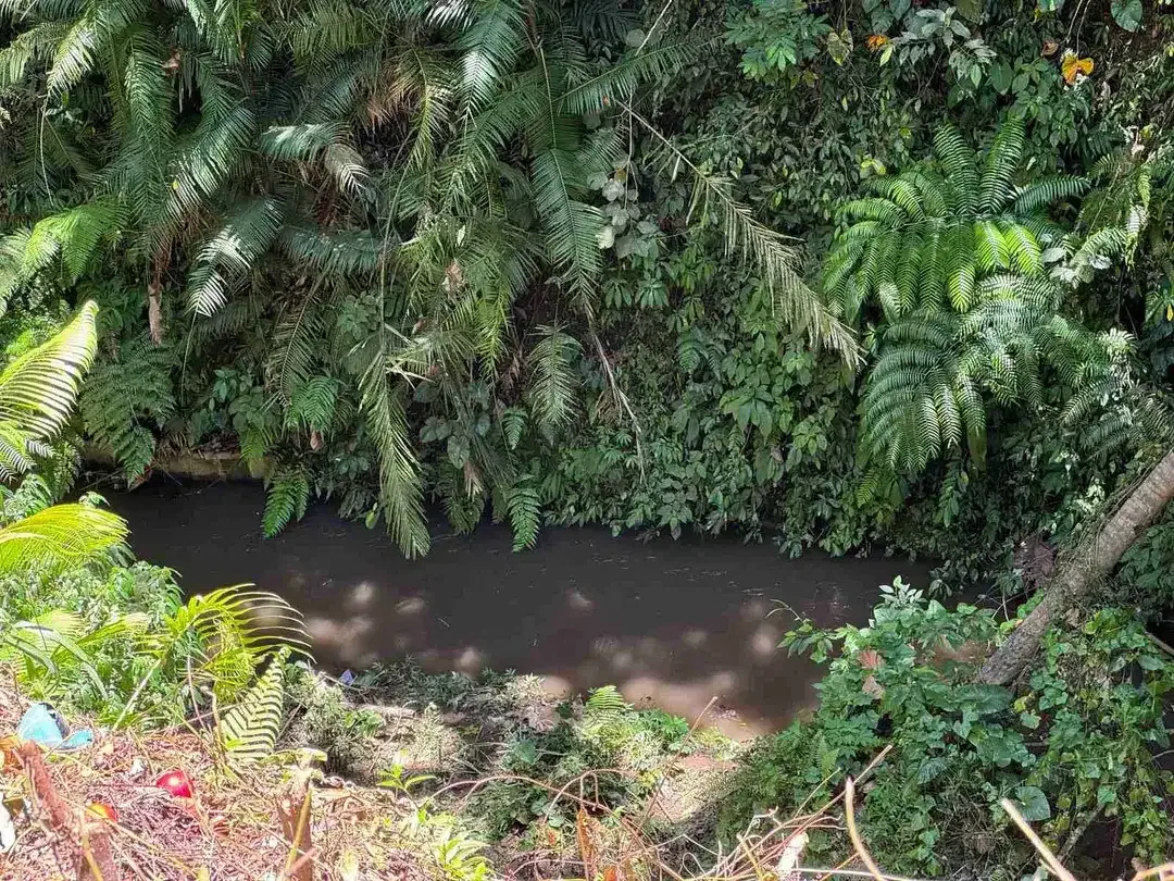Siap Bangun Vila, Tanah Datar View Sawah di Ubud Gianyar - Image 5 of 10
