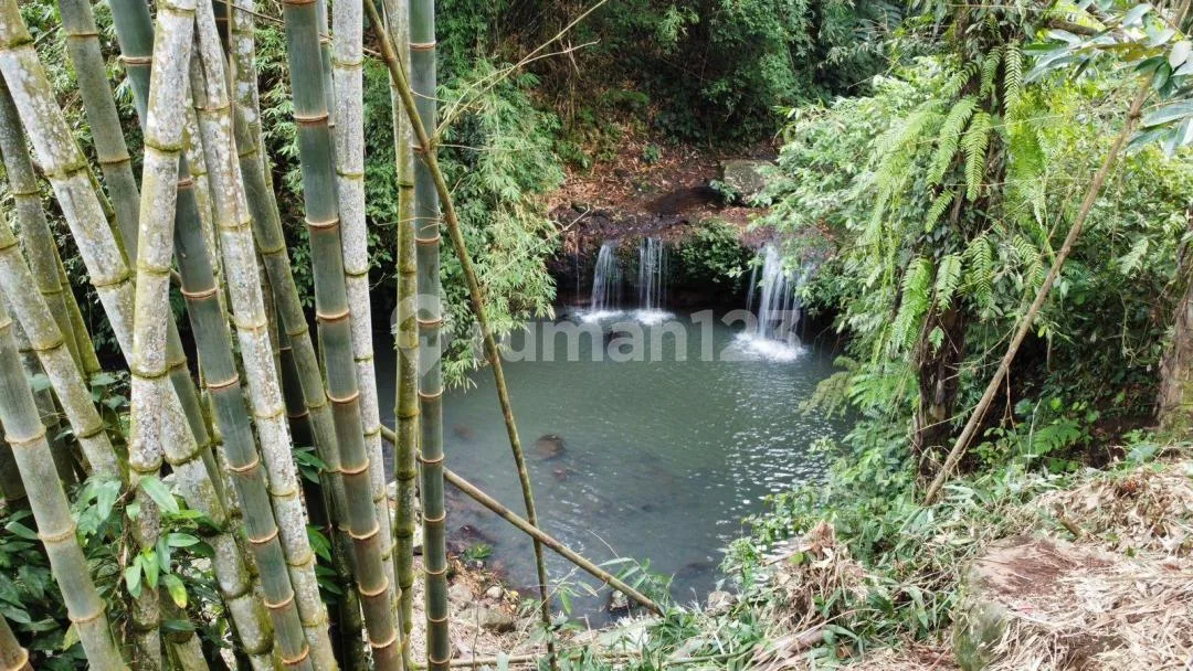 Tanah Tepi Air Terjun Gunung Salak Selemadeg Tabanan Bali - Image 4 of 4