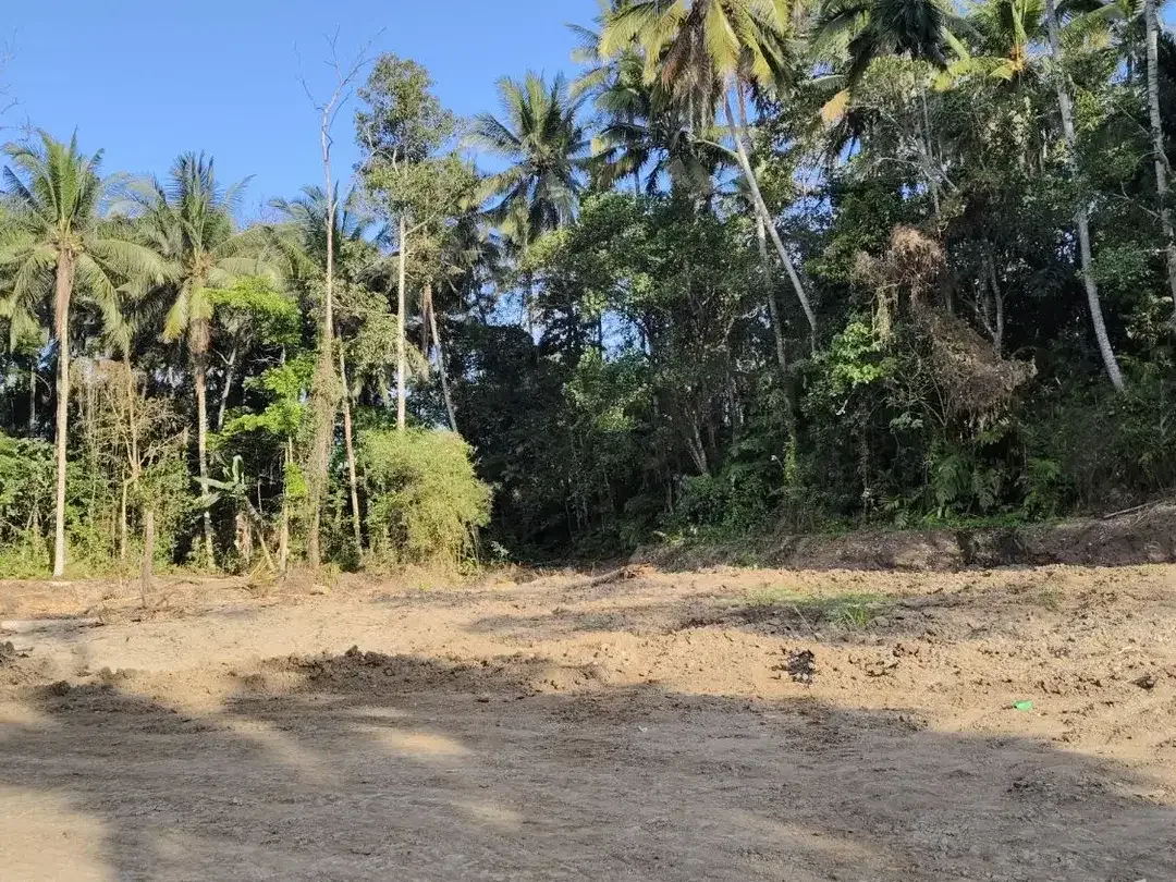 Tanah Kavling Luas 150 M2 Dekat Jalan Utama, Mengwi - Badung - Image 4 of 8