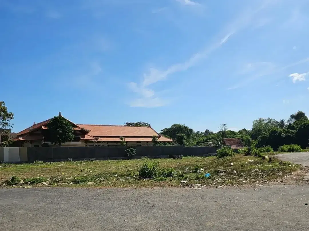 TANAH STRATEGIS 200METER KE PANTAI SABA BALI SEBELAH RUMAH ARTIS TOP - Image 3 of 9