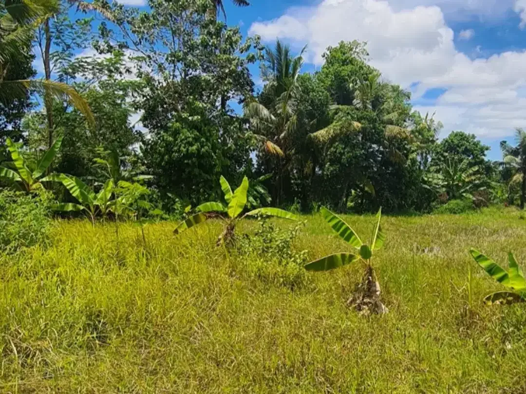 DIJUAL TANAH HOOK DI GIANYAR - Image 2 of 6