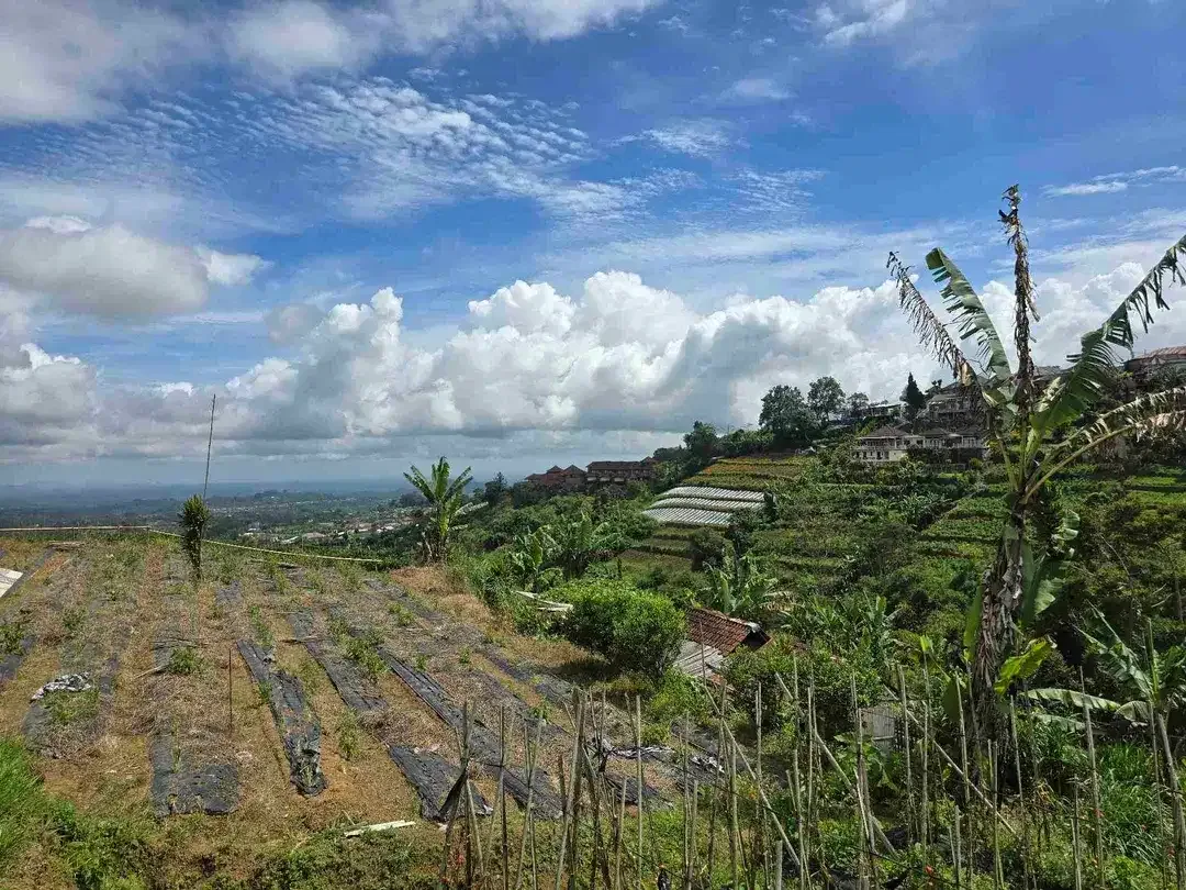 Dijal tanah murah view gunung laul dan lembah di bedugul bali - Image 2 of 10