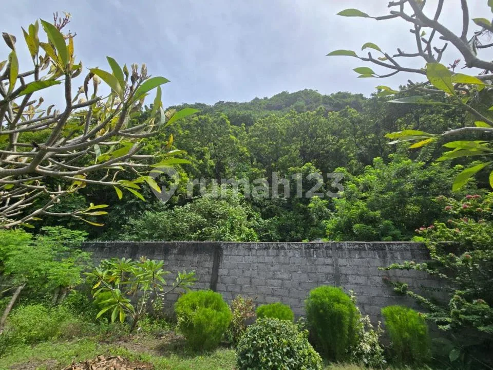 Tanah Ocean View Cocok Vila Rental Harga Murah - Image 3 of 4