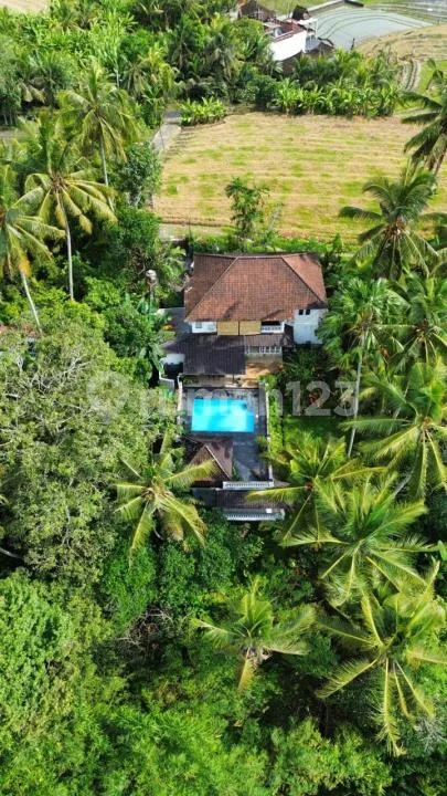 Di Jual Villa Sawah,Kerambitan Tabanan Bali - Image 3 of 4