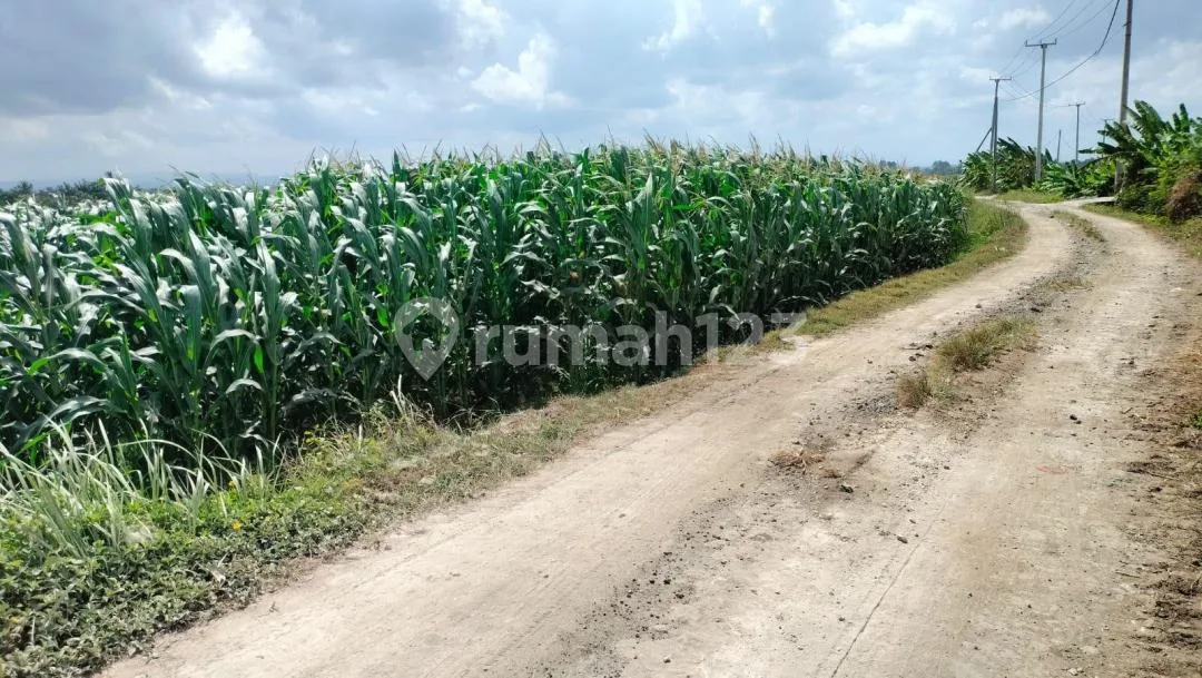 Hot Sale! Tanah SHM Zona Pink Dekat Pantai Kedungu - Image 1 of 4