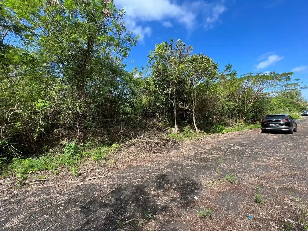 Dijual Cepat Tanah Lokasi di Kampial Nusa Dua - Image 2 of 6