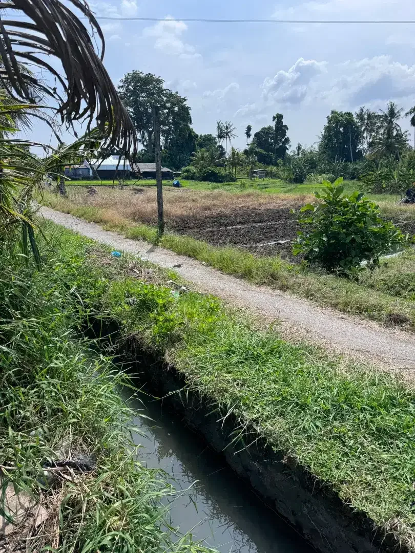 BUC 40 mnit ke Canggu - Image 3 of 4