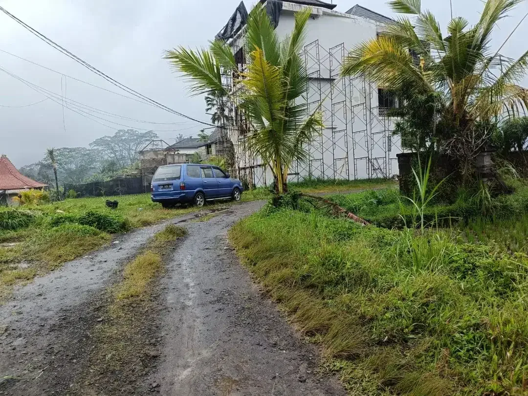 Tanah kavling besar 6,6 Hektar di Payangan, Ubud - Image 2 of 9