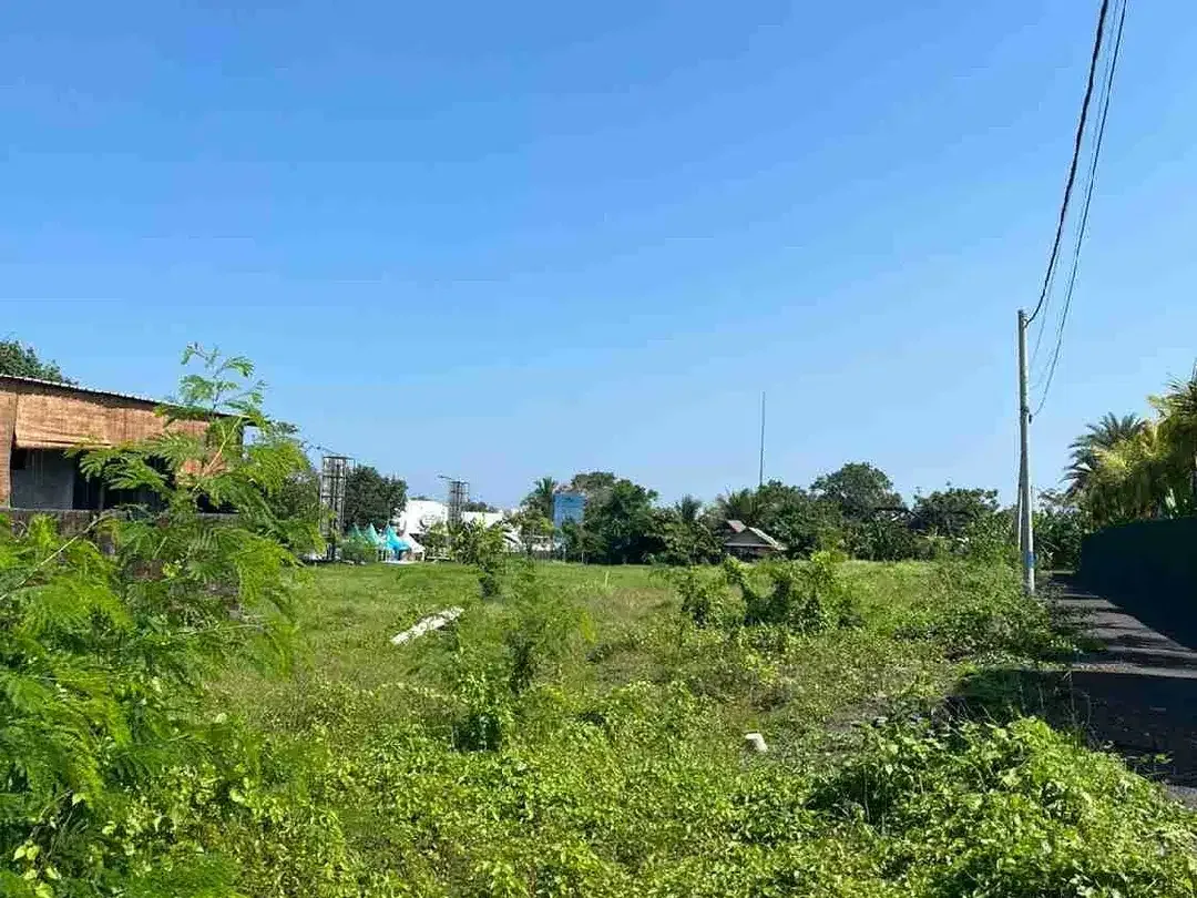 Tanah di sewakan - Image 5 of 5