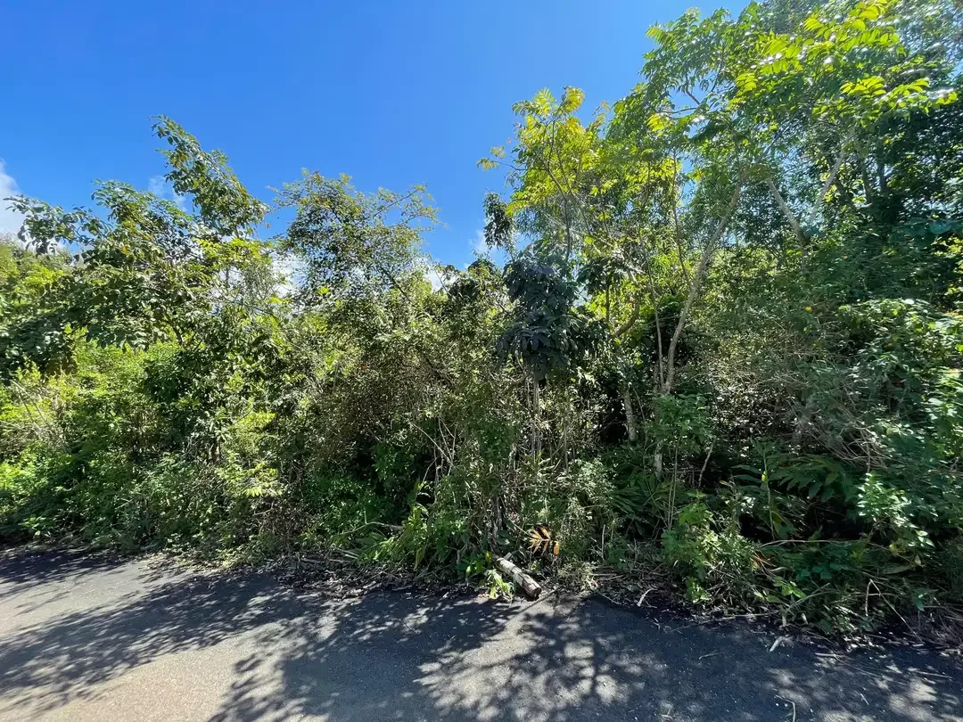 Dijual Tanah Di Kawasan Pariwisata Di Kuta Selatan - Image 8 of 8